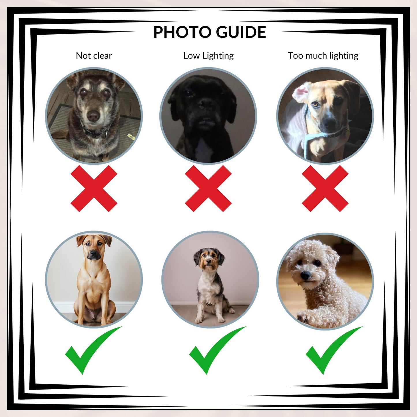 Queen Pet Portrait from Photo, Custom Royal Pet Painting, Personalized Dog Royalty Portrait on Canvas