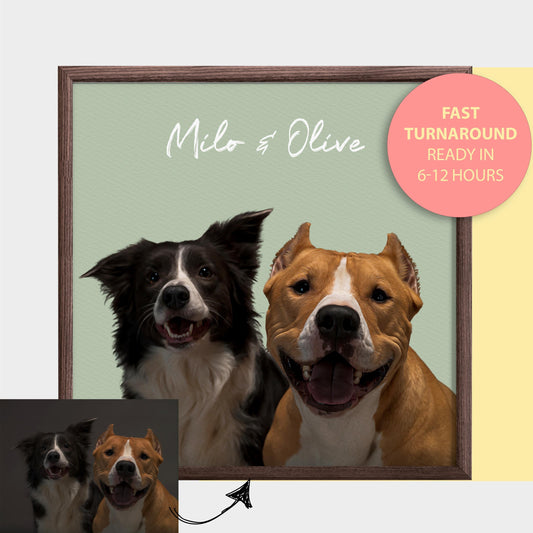 Custom pet portrait of two dogs, Milo and Olive, in a wood frame with a soft green background. Features a fast turnaround option, ready in 6-12 hours. Perfect gift for dog owners seeking personalized pet artwork.