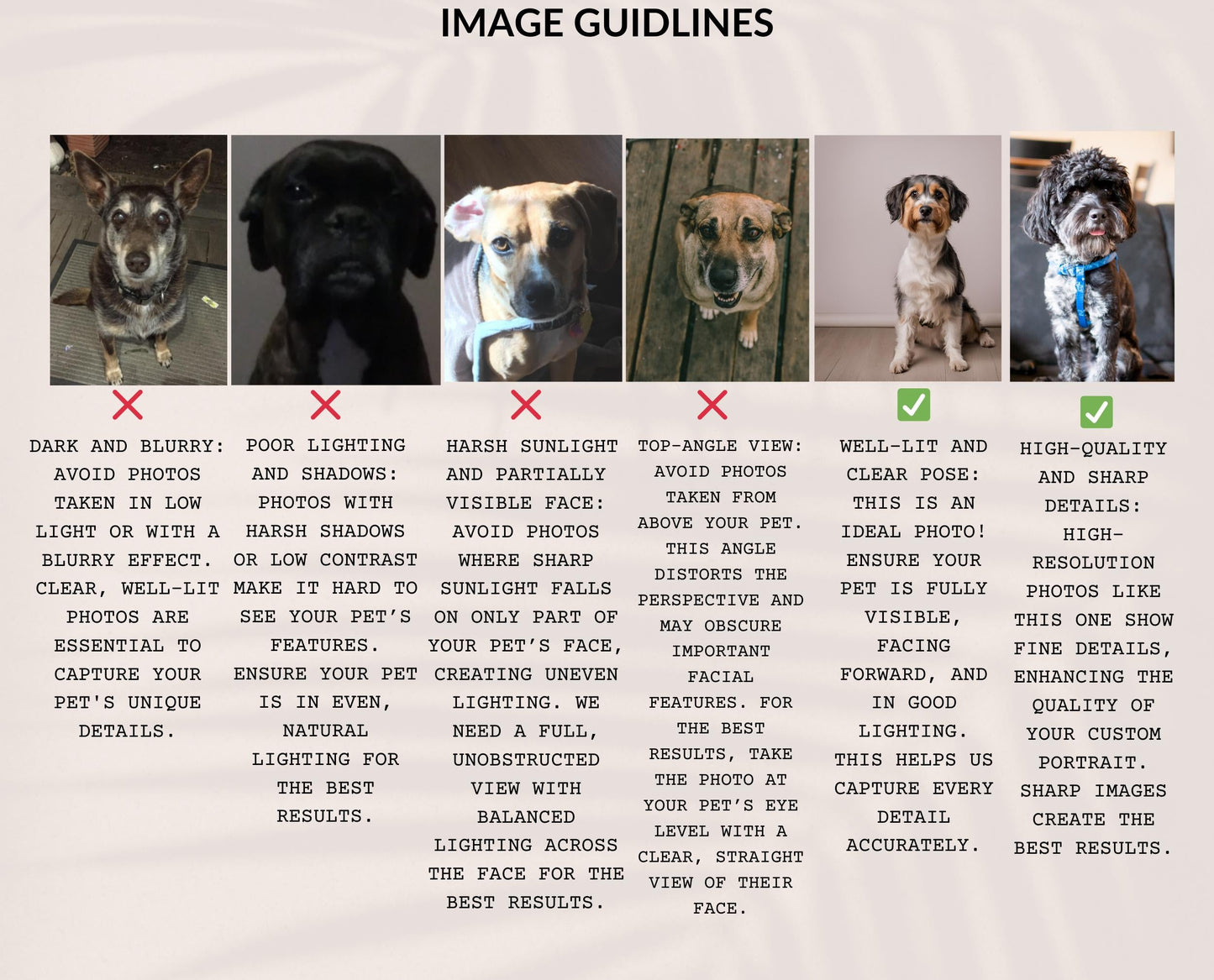 Image guidelines for custom pet portraits, showing examples of poor-quality photos (dark, blurry, harsh shadows, top-angle view) and ideal photo examples (well-lit, clear pose, high-quality sharp details)