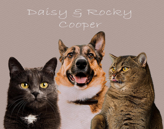 Custom pet portrait featuring two cats, Daisy and Rocky, alongside a dog named Cooper, with each petβs unique expression captured on a neutral background. Ideal for pet lovers looking for personalized multi-pet artwork.